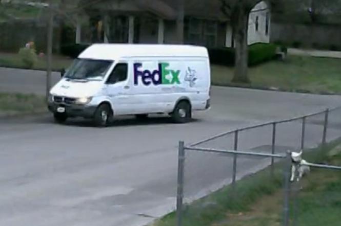 kurier FedEx