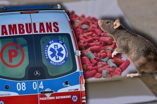 Nie żyje troje zatrutych dzieci. Toksykolog zabiera głos