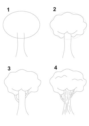 jak narysować drzewo