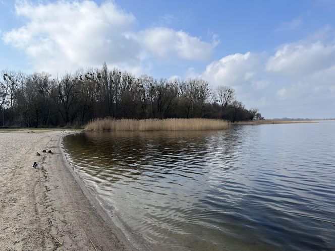 Kąpielisko i Jezioro Dąbie