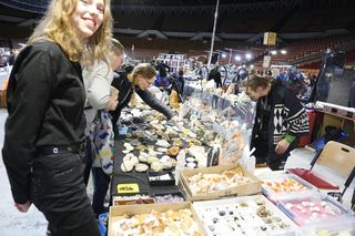 Ślonsko Giełda Biżuterii Minerałów i Skamieniałości GeoExpo w Spodku