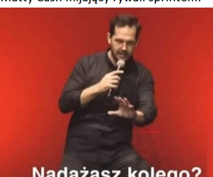 MEMY po meczu Polska - Belgia