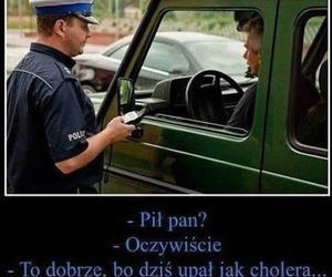 Do Polski dotarła fala gorąca. Te memy na temat upalnych dni rozbawią wszystkich do łez!