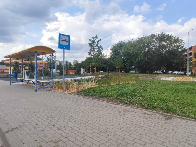 Park kieszonkowy powstający przy ul. Wyszyńskiego w Siedlcach