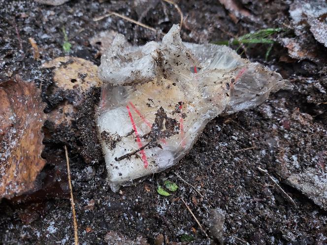 Otwock: policja zatrzymała dilera, który zakopał w ziemi ponad 2 kg narkotyków
