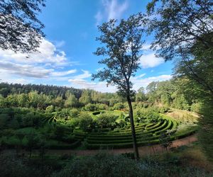 Arboretum Bramy Morawskiej zachwyca jesienią