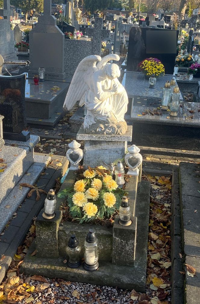 Zapomniany cmentarz w Lublinie zachwyca pięknem i historią. Ma już ponad 150 lat