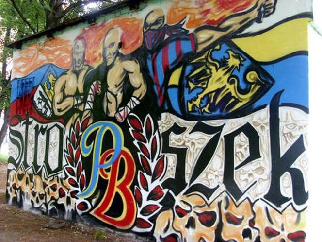 Najładniejsze kibicowskie murale na Śląsku