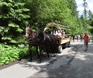 Koniec z elektrykami, zostają konie. Wielkie zmiany nad Morskim Okiem