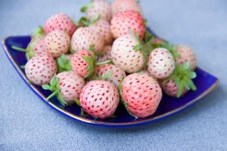 Pineberry