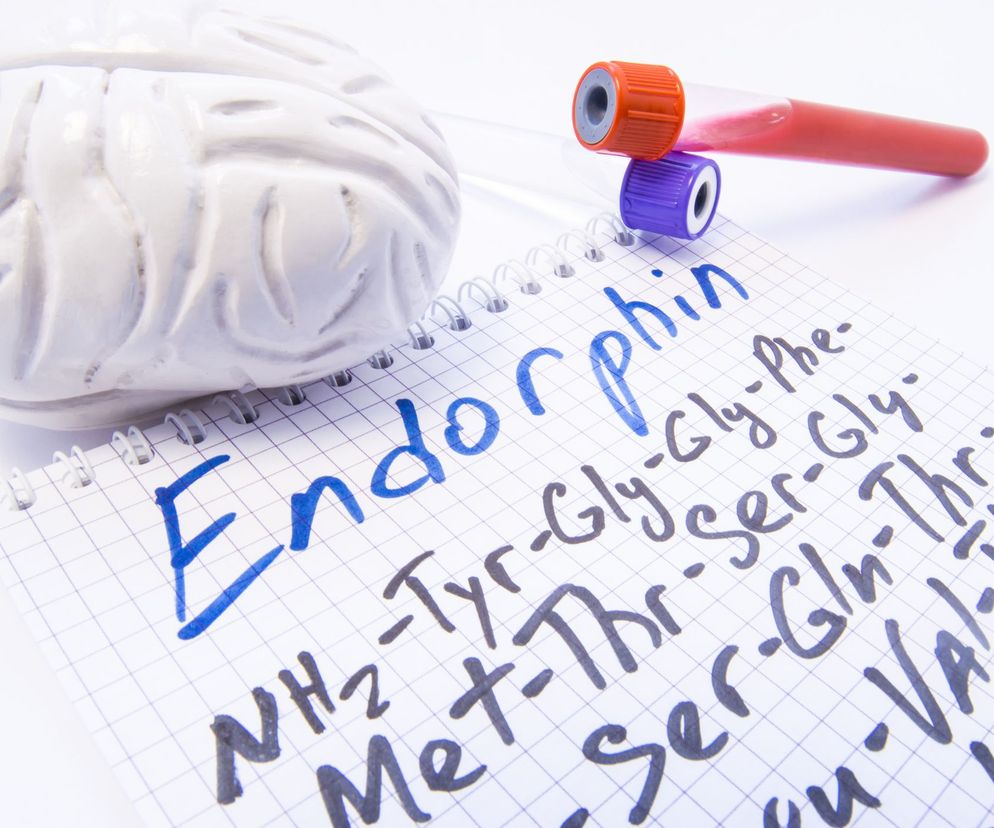 Endorfiny to grupa aminokwasów peptydowych (organiczne związki chemiczne pochodzenia białkowego), podobnych budową do morfiny