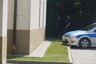 Śmiertelne potrącenie pod Łowiczem. 22-latka celowo zabiła swoje chłopaka? Prokuratura nie ma wątpliwości [ZDJĘCIA]