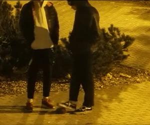 Dwóch nastolatków z Pabianic znęcało się nad jeżem