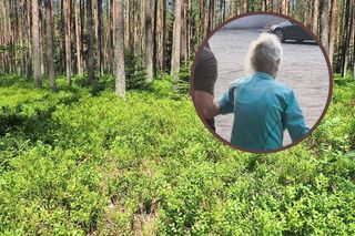 Seniorka z Blachowni zaginęła na jagodach. Znaleziono ją kilka godzin później