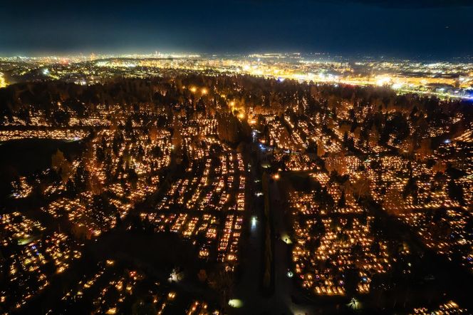 1 listopada na Cmentarzu Łostowickim w Gdańsku. Tak wygląda w dniu Wszystkich Świętych