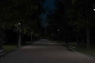 Rusza remont oświetlenia w parku Skaryszewskim