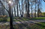 Park Miejski w Toruniu