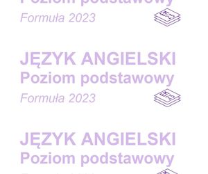 Matura próbna 2024 - angielski