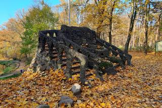 Park Miejski w Toruniu