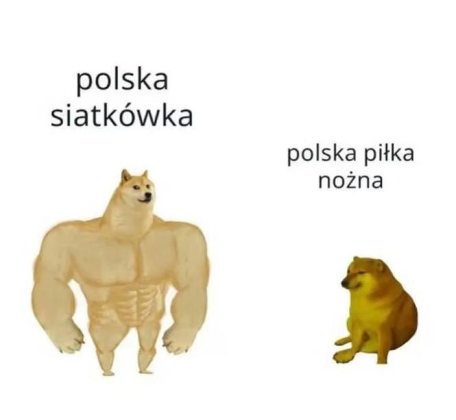Memy po meczu siatkarzy