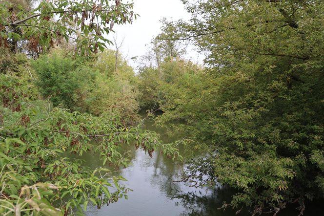 Jesienna odsłona terenów nad Bystrzycą w Lublinie. Tak się prezentuje w październiku