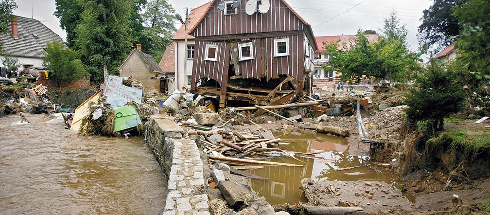 Został mi tylko święty obrazek