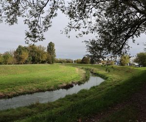 Jesienna odsłona terenów nad Bystrzycą w Lublinie. Tak się prezentuje w październiku