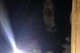 Kozi demon wypędził mnie z domu