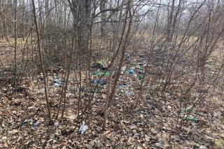 Miało być pięknie, a są śmieci. Mieszkańcy Sikawy załamani Parkiem Zbójnickim