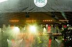 TreeFest 2025