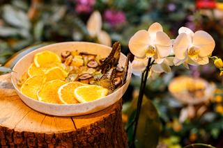 Czym zaskoczy łódzkie Orientarium? Pojawią się dwie duże atrakcje