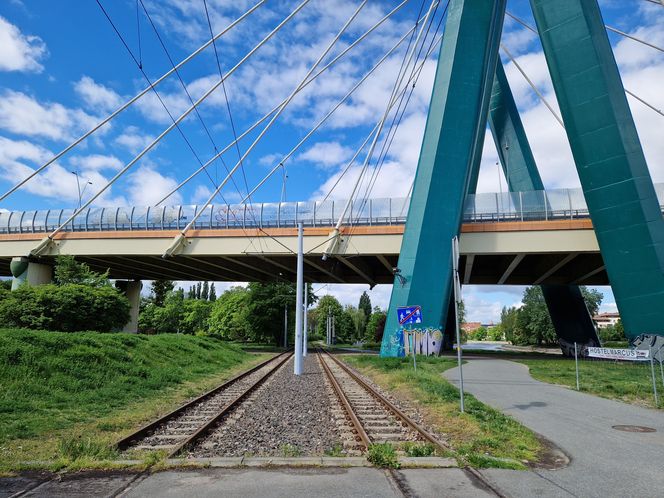Torowisko tramwajowe na Babiej Wsi w Bydgoszczy zarośnięte chwastami. Tramwaje zniknęły stąd lata temu