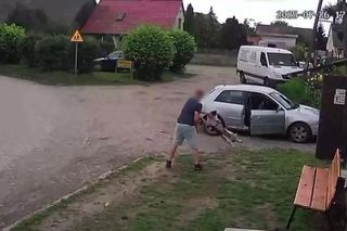 Złapał psa i rzucił nim o ziemię. Wstrząsające nagranie obiegło sieć