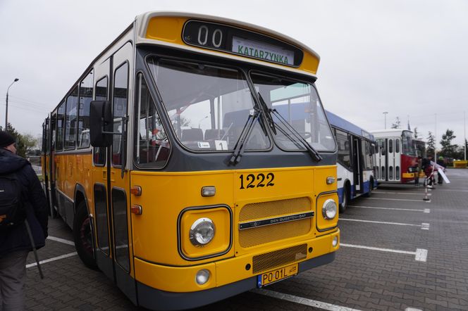 Katarzynki 2024 - wystawa autobusów przy Galerii Panorama