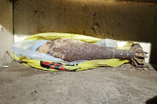 Żabno: Znalazł niewybuch z II WŚ podczas porządków. Akcja służb