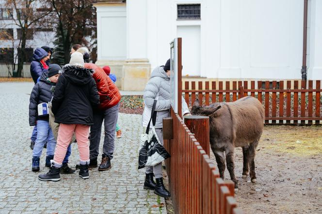 Żywa szopka bożonarodzeniowa w Warszawie