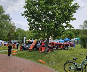 Festiwal Przyjaciół Zwierząt w Olsztynie. Park Centralny opanowały radosne pieski