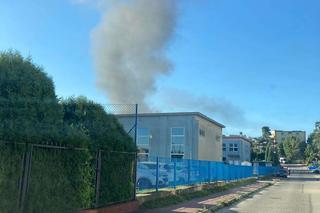 Pożar hali produkcyjnej w Nowinach koło Kielc