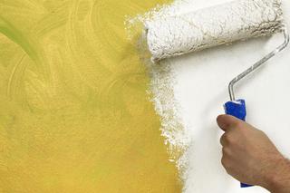 MALOWANIE MIESZKANIA: jak pomalować ściany szybko i bez błędów PORADNIK