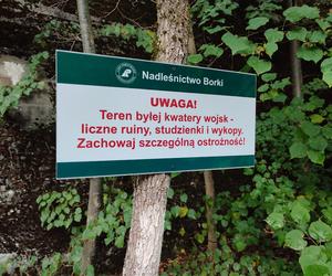 Czarny Szaniec na Mazurach. Bunkry Himmlera ukryte w lesie koło Pozezdrza [ZDJĘCIA]