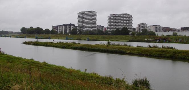 Niż genueński Borys. Wrocław walczy z wielką wodą