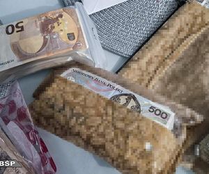 Agencja towarzyska kontra stu policjantów. Kilkanaście osób zatrzymanych!