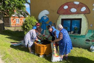   Wioska Smerfów istnieje naprawdę? Wyjątkowe miejsce w woj. warmińsko-mazurskim