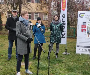 10 akcji nasadzeń w Kielcach. Ruszyła akcja Kielce sadzą drzewa