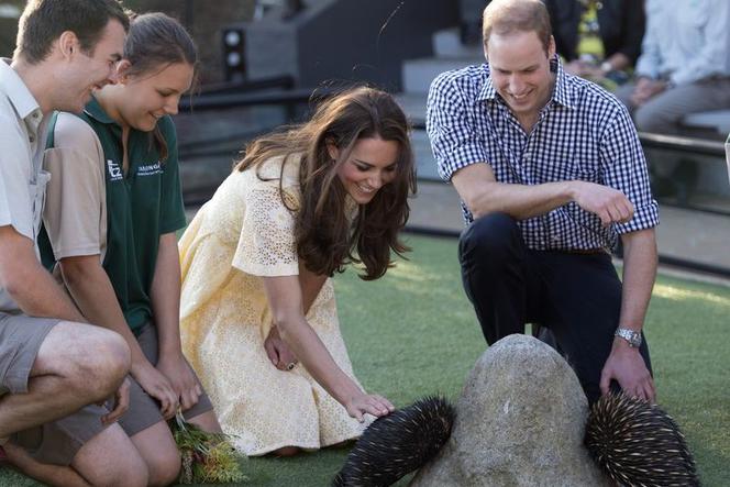 Księżna Kate w ZOO