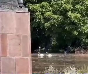 Nowa Kachowka, powódź
