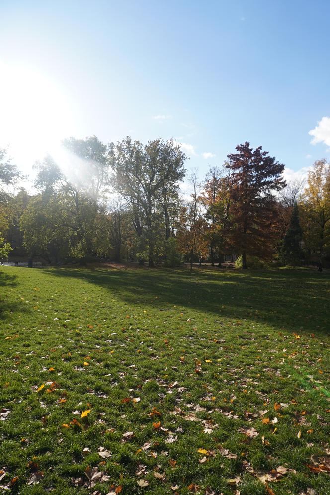 Park Wilsona jesienią