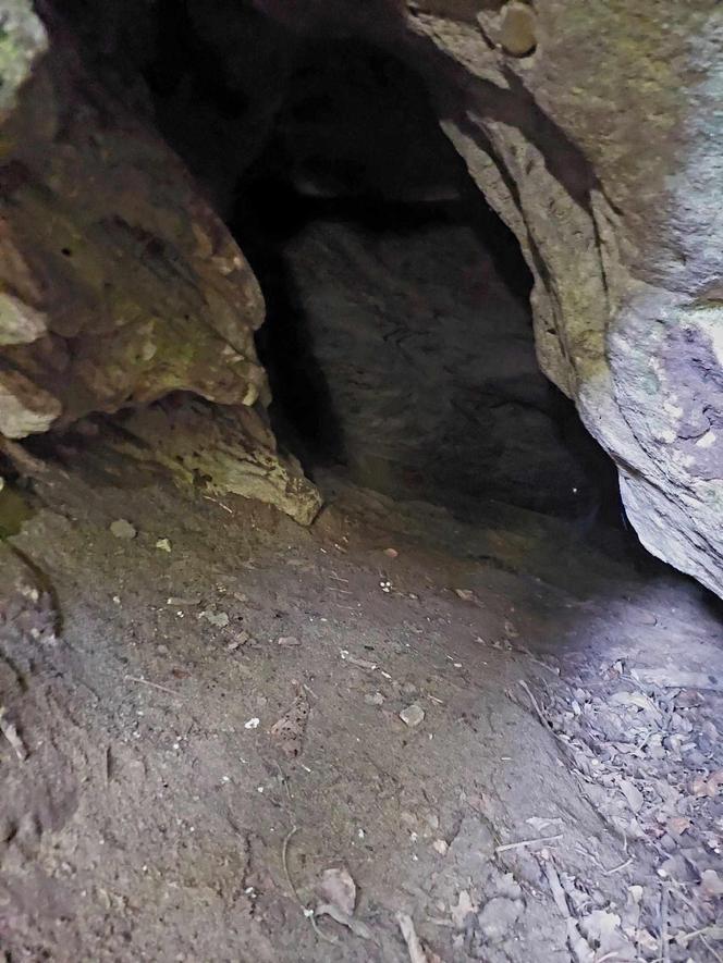 Jak wyglądają wyjątkowe jaskinie na Zboczu Fordońskim? To 10 minut jazdy od Bydgoszczy. Byliśmy tam i mamy zdjęcia