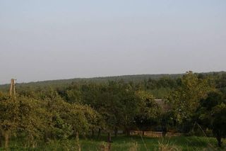 Góra Altana - najwyższy szczyt Mazowsza