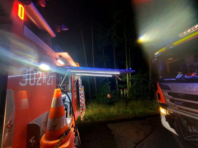 Wypadek na S1 w Katowicach. Samochód wypadł z drogi i stanął w płomieniach!